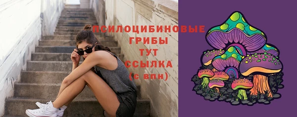 твердый Приозерск